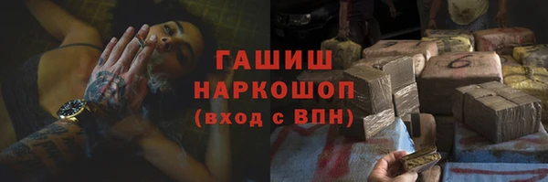 шишки Бикин