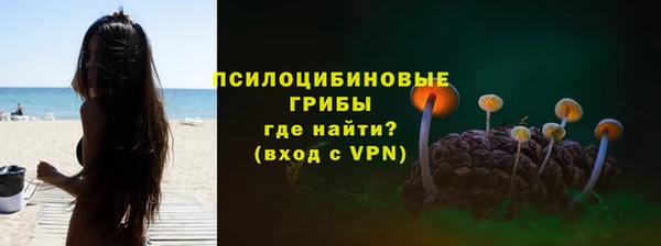 дживик Белоозёрский