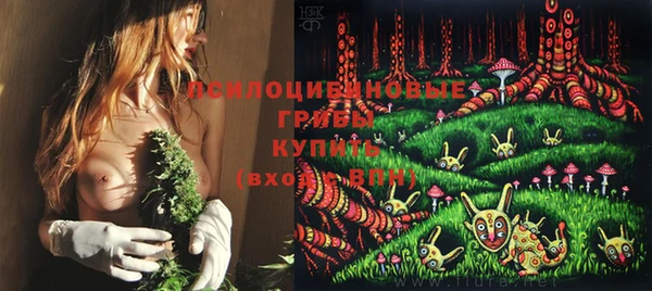 MDMA Белокуриха
