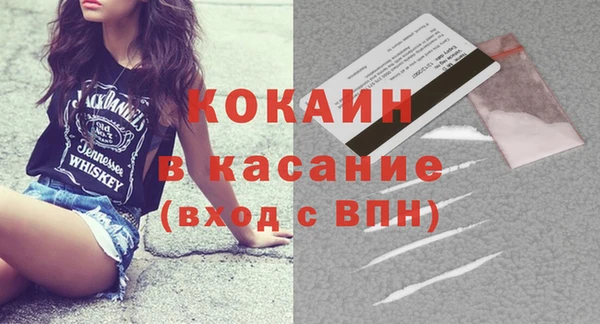 шишки Беломорск