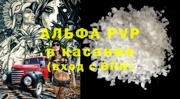шишки Беломорск