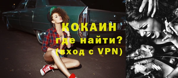 шишки Бикин